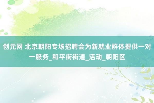 创元网 北京朝阳专场招聘会为新就业群体提供一对一服务_和平街街道_活动_朝阳区