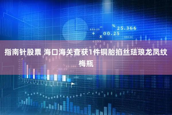 指南针股票 海口海关查获1件铜胎掐丝珐琅龙凤纹梅瓶