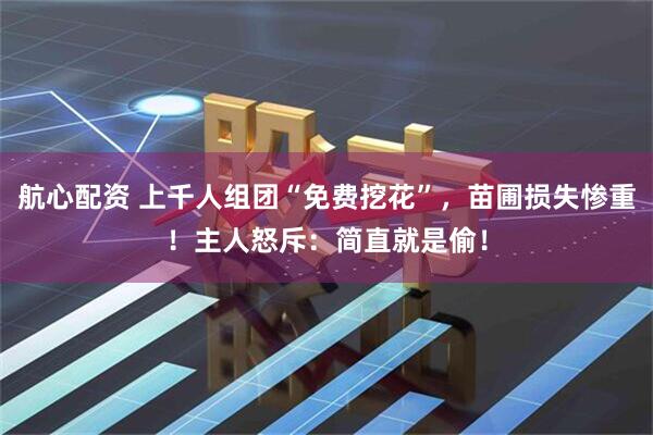 航心配资 上千人组团“免费挖花”，苗圃损失惨重！主人怒斥：简直就是偷！
