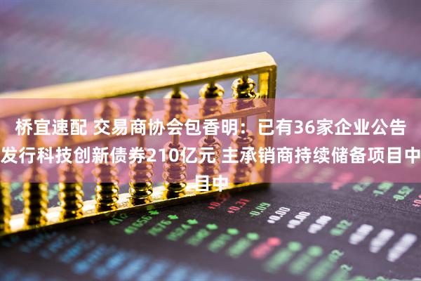 桥宜速配 交易商协会包香明：已有36家企业公告发行科技创新债券210亿元 主承销商持续储备项目中