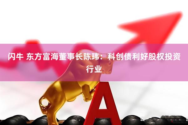 闪牛 东方富海董事长陈玮：科创债利好股权投资行业