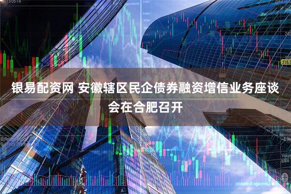 银易配资网 安徽辖区民企债券融资增信业务座谈会在合肥召开