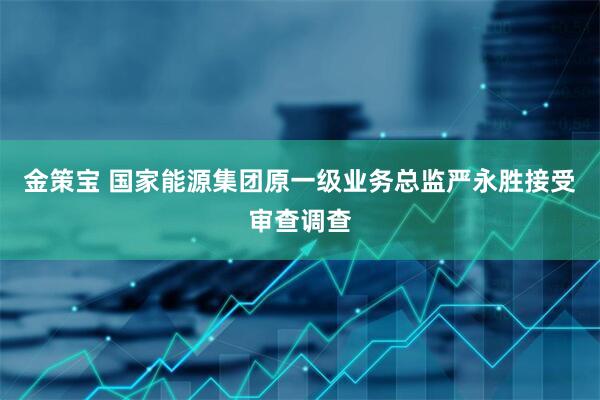 金策宝 国家能源集团原一级业务总监严永胜接受审查调查