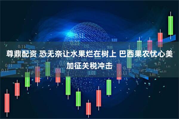 尊鼎配资 恐无奈让水果烂在树上 巴西果农忧心美加征关税冲击