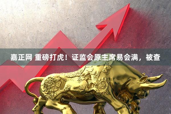 嘉正网 重磅打虎！证监会原主席易会满，被查