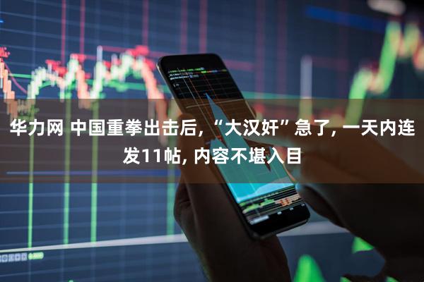 华力网 中国重拳出击后, “大汉奸”急了, 一天内连发11帖, 内容不堪入目