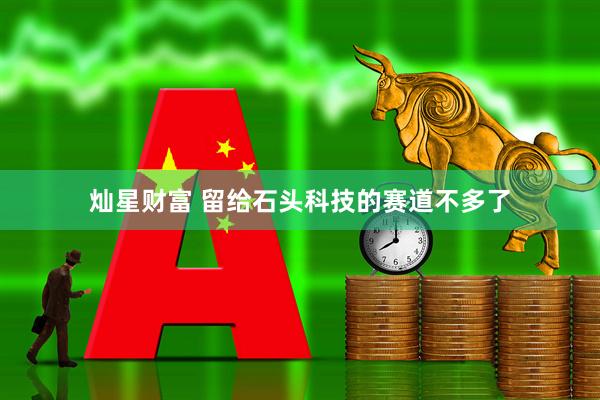 灿星财富 留给石头科技的赛道不多了