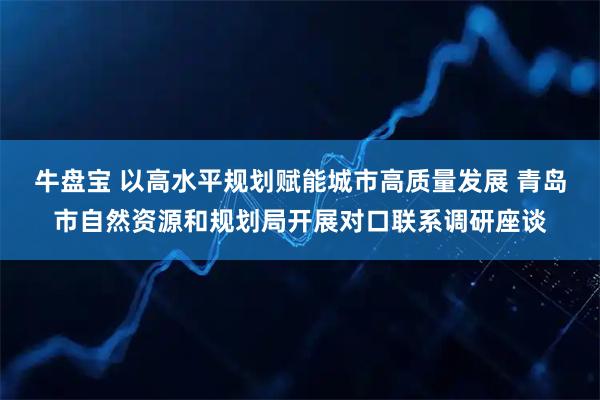牛盘宝 以高水平规划赋能城市高质量发展 青岛市自然资源和规划局开展对口联系调研座谈