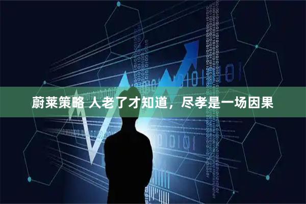 蔚莱策略 人老了才知道，尽孝是一场因果