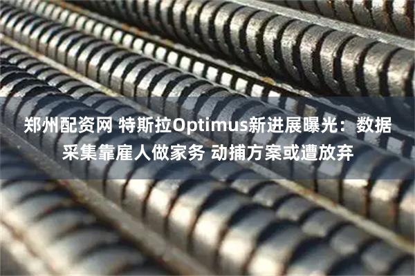 郑州配资网 特斯拉Optimus新进展曝光：数据采集靠雇人做家务 动捕方案或遭放弃